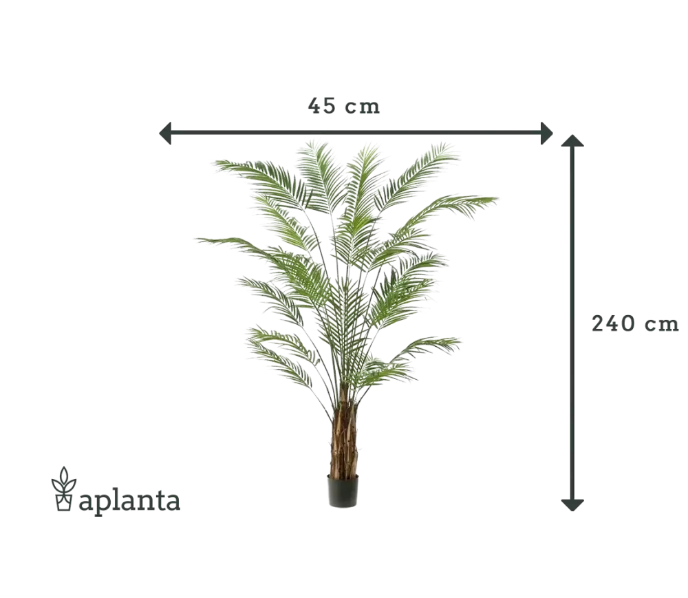 Palma Areca artificiale - Isaiah | 240 cm