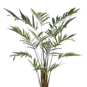 Palma Areca artificiale - Isaiah | 270 cm