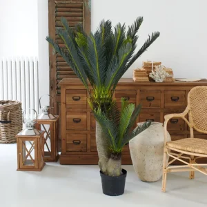 Palma artificiale Cycas