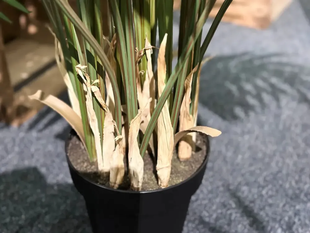 Palma artificiale da frutto dorata - Eva | 170 cm