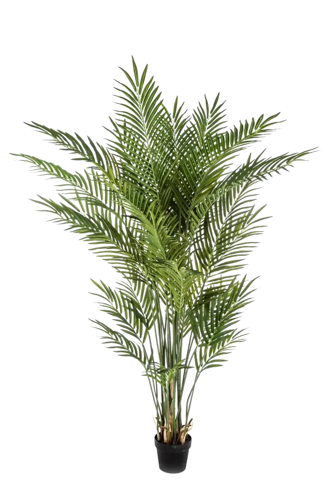 Palma artificiale da frutto dorata - Eva | 170 cm