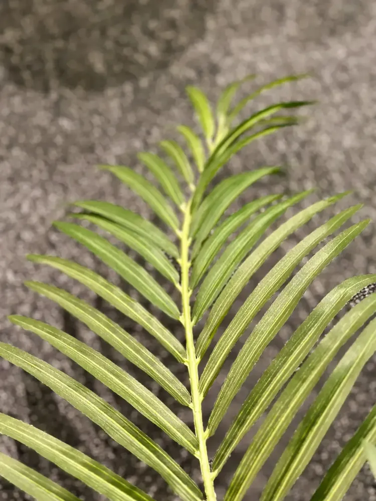 Palma artificiale da frutto dorata - Eva | 80 cm