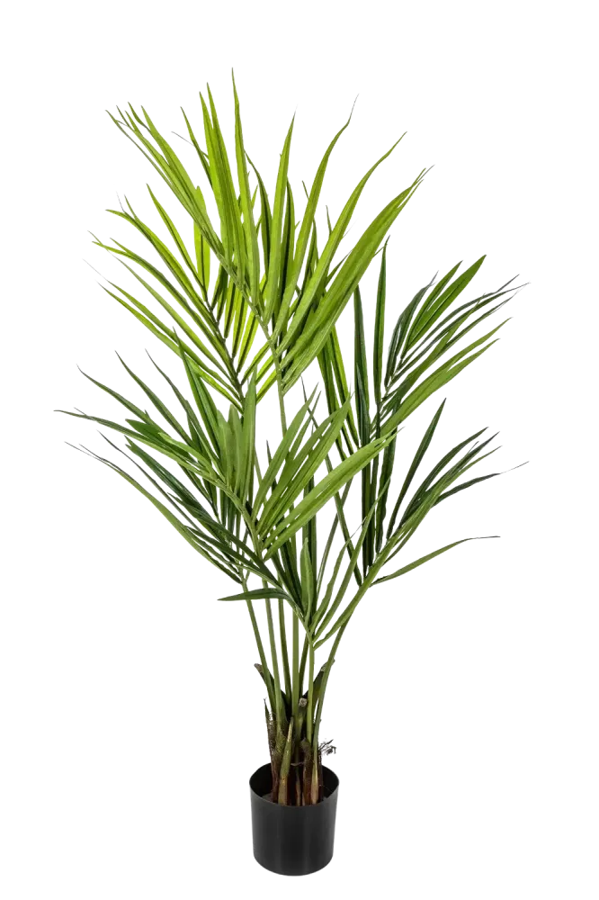 Palma artificiale Kentia - Cataleya | 140 cm