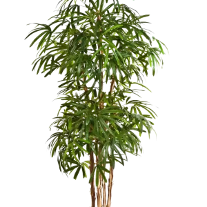 Palma artificiale - Nela | 170 cm