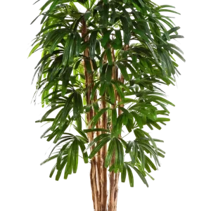 Palma artificiale - Noemi | 210 cm