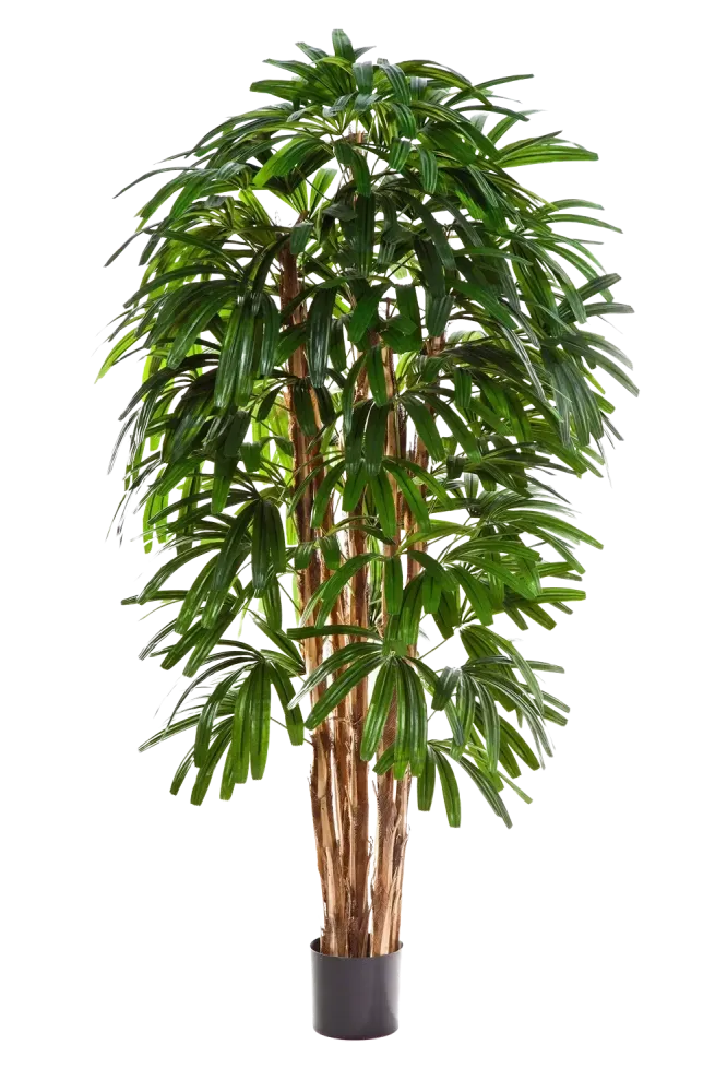 Palma artificiale - Noemi | 210 cm