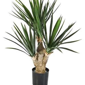Palma artificiale di yucca - Stefan | 68 cm