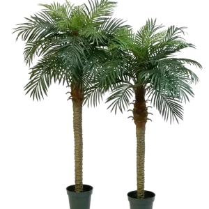 Palma da dattero artificiale - Fabienne | 150 cm