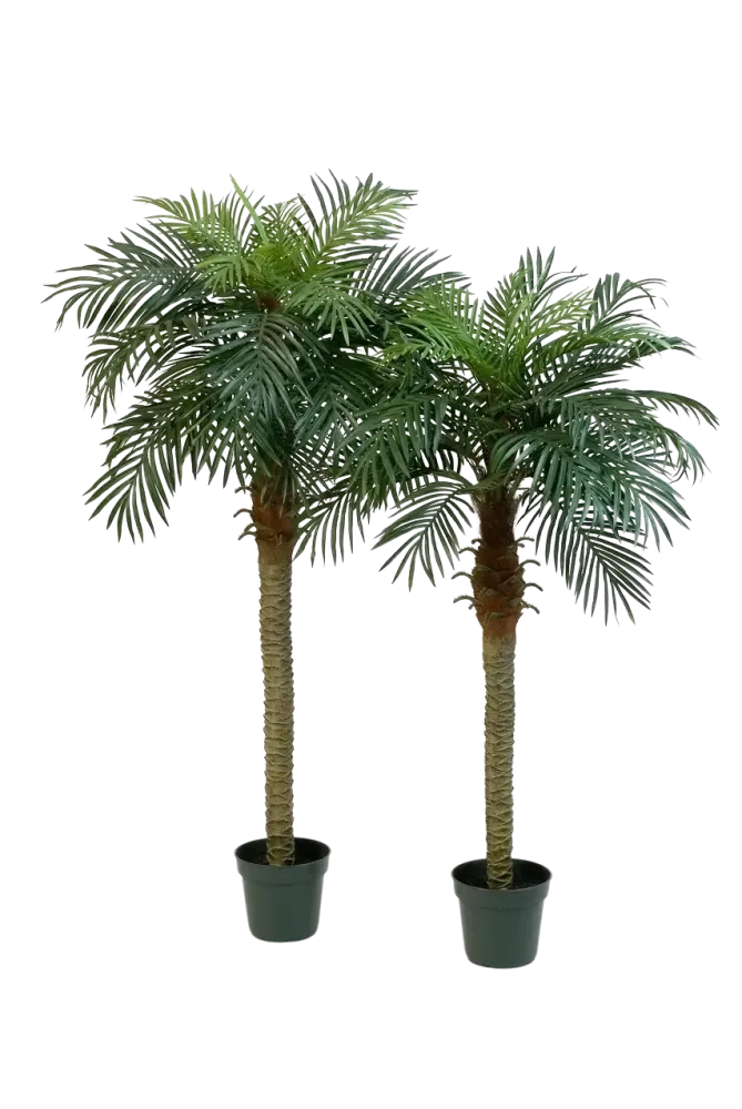 Palma da dattero artificiale - Fabienne | 180 cm