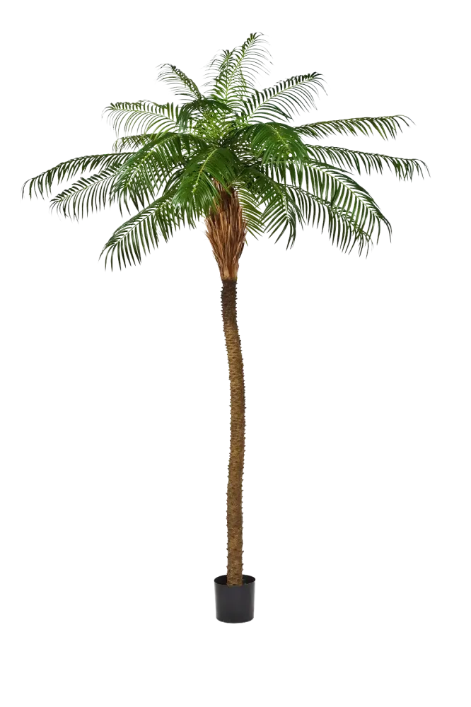 Palma da dattero artificiale - Kaan | 250 cm