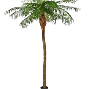 Palma da dattero artificiale - Kaan | 280 cm