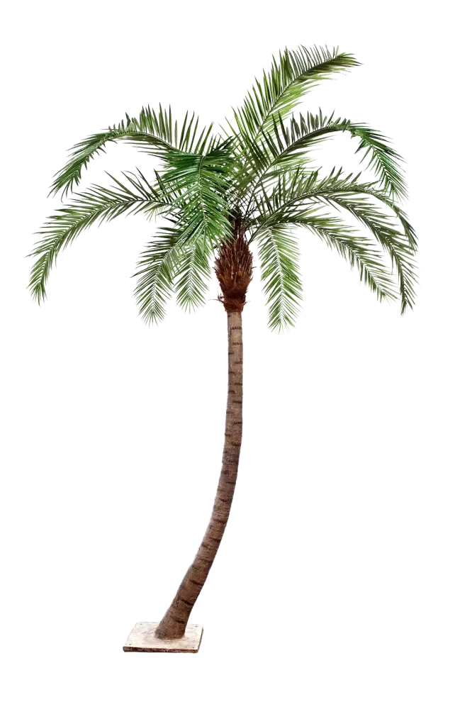 Palma Phoenix artificiale - Simon | 360 cm