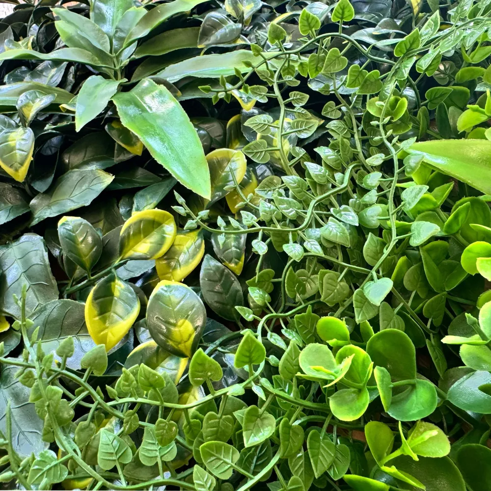 Pannelli Verde Verticale 50×50 cm Ultra-realistici e folti, per interno/esterno AGAVE - DRACENA - Eternal Parquet