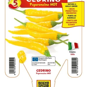 Peperoncino piccante HOT Cedrino - 1 Pianta v.14 cm - Orto Mio