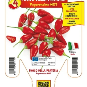 Peperoncino piccante HOT Fuoco della prateria - 1 pianta v.14 cm - Orto Mio