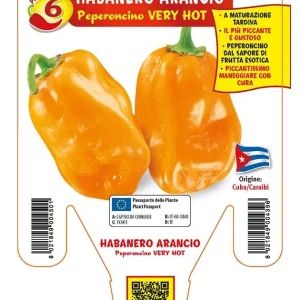 Peperoncino piccante VERY HOT Habanero arancione - 1 pianta v.14 cm - Orto Mio