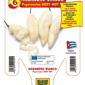 Peperoncino piccante VERY HOT Habanero bianco - 1 pianta v.14 cm - Orto Mio