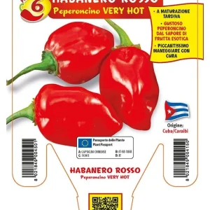 Peperoncino piccante VERY HOT Habanero rosso - 1 pianta v.14 cm - Orto Mio