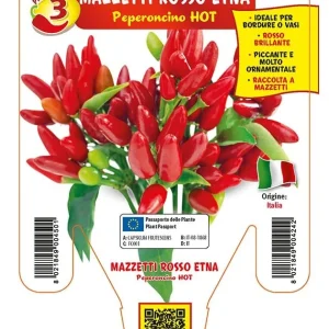 Peperoncino piccante HOT mazzetti rosso Etna - 1 pianta v.14 cm - Orto Mio