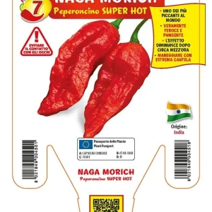 Peperoncino piccante SUPER HOT Naga Morich rosso - 1 pianta v.14 cm - Orto Mio
