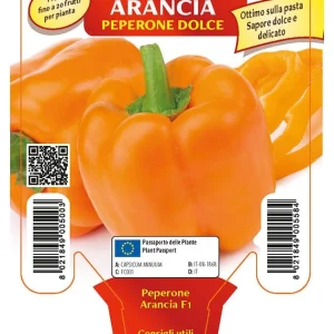 Peperone arancione Arancia F1 - 1 pianta v.10 cm - Orto Mio