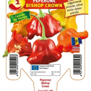 Peperone Cappello del Vescovo Bishop Crown - 1 pianta v.10 cm - Orto Mio