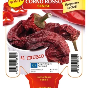 Peperone Corno rosso Senise Crusco - 1 pianta v.10 cm - Orto Mio