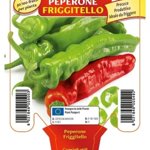 Peperone friggitello Torricello F1-Isotta F1 - 1 pianta v.10 cm - Orto Mio