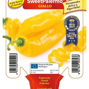 Peperone sweet Palermo - Giallo - 1 pianta v.10 cm - Orto Mio