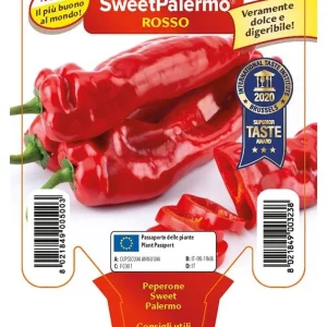 Peperone sweet Palermo - Rosso - 1 pianta v.10 cm - Orto Mio