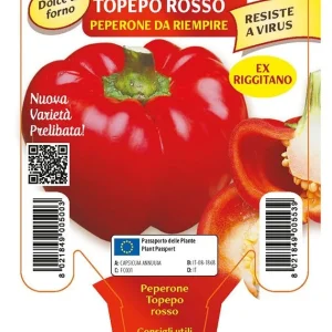 Peperone Topepo riempire Indus F1-Twister F1 - 1 pianta v.10 cm - Orto Mio