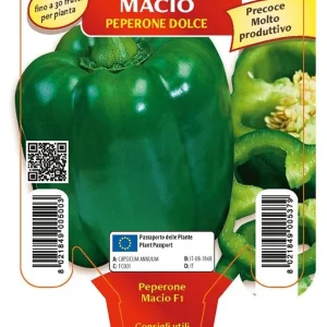 Peperone verde Macio F1 - 1 pianta v.10 cm - Orto Mio