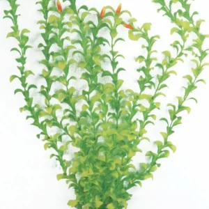 Pianta Acquatica Artificiale Per Acquari Classic Plant Hygrophila