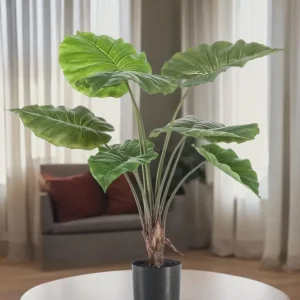 Pianta artificiale Alocasia - h70cm, Ø12cm