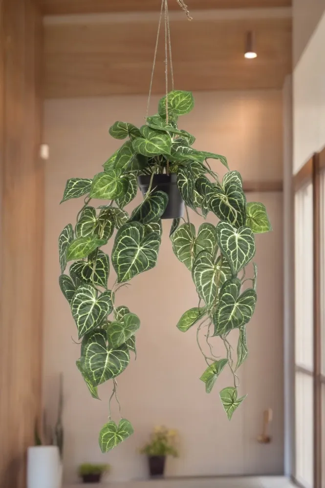 Pianta artificiale Anthurium Clarinerdium - h80cm, Ø18cm