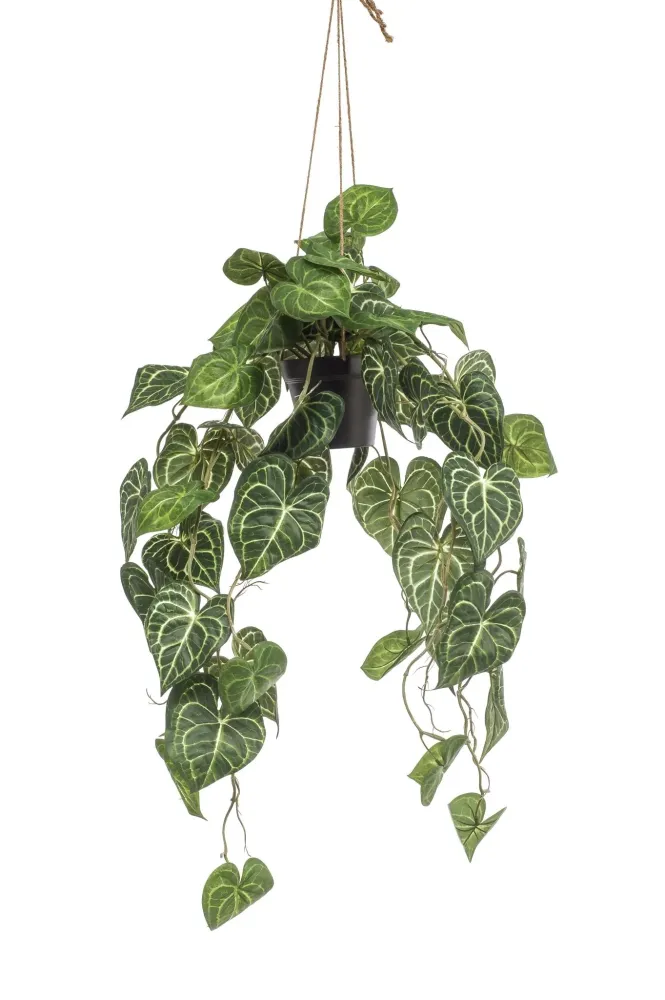 Pianta artificiale Anthurium Clarinerdium - h80cm, Ø18cm
