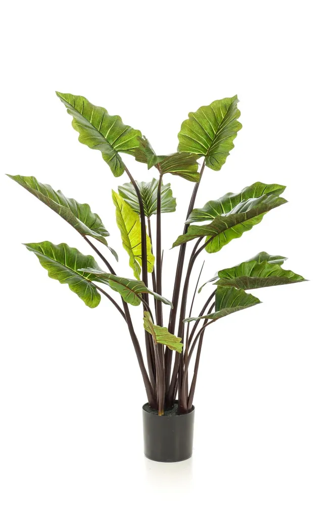 Pianta artificiale Colocasia Pink China - h130cm, Ø15cm