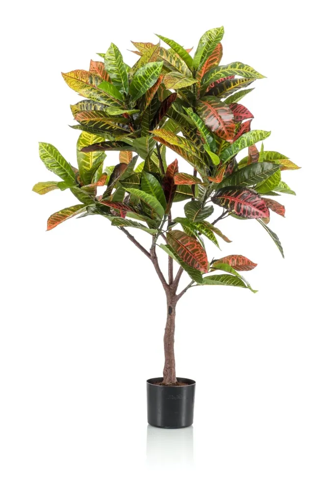 Pianta artificiale Croton Codiaeum