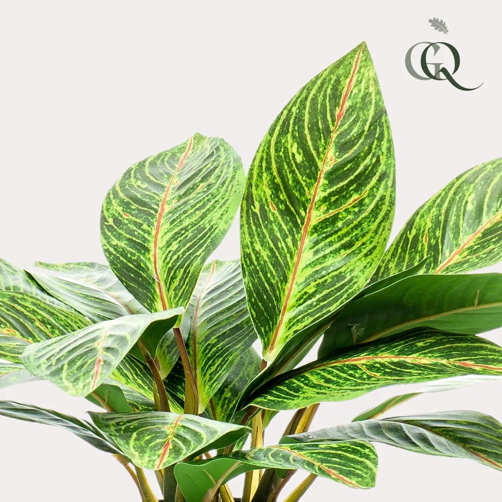 Pianta artificiale Croton Codiaeum - h38cm, Ø15cm