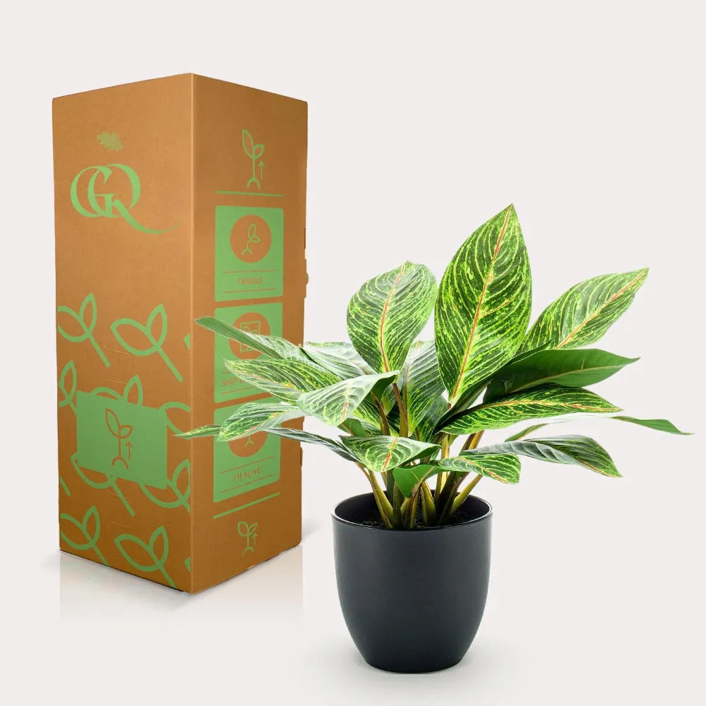 Pianta artificiale Croton Codiaeum - h38cm, Ø15cm