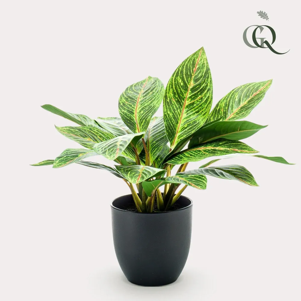 Pianta artificiale Croton Codiaeum - h38cm, Ø15cm
