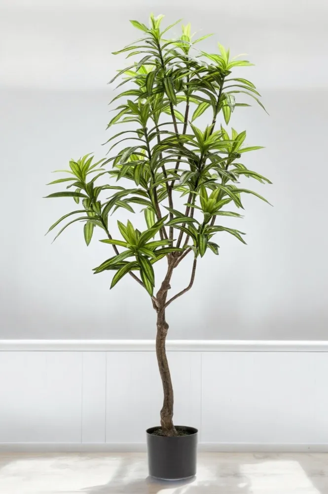 Pianta artificiale Dracaena - h130cm, Ø14cm