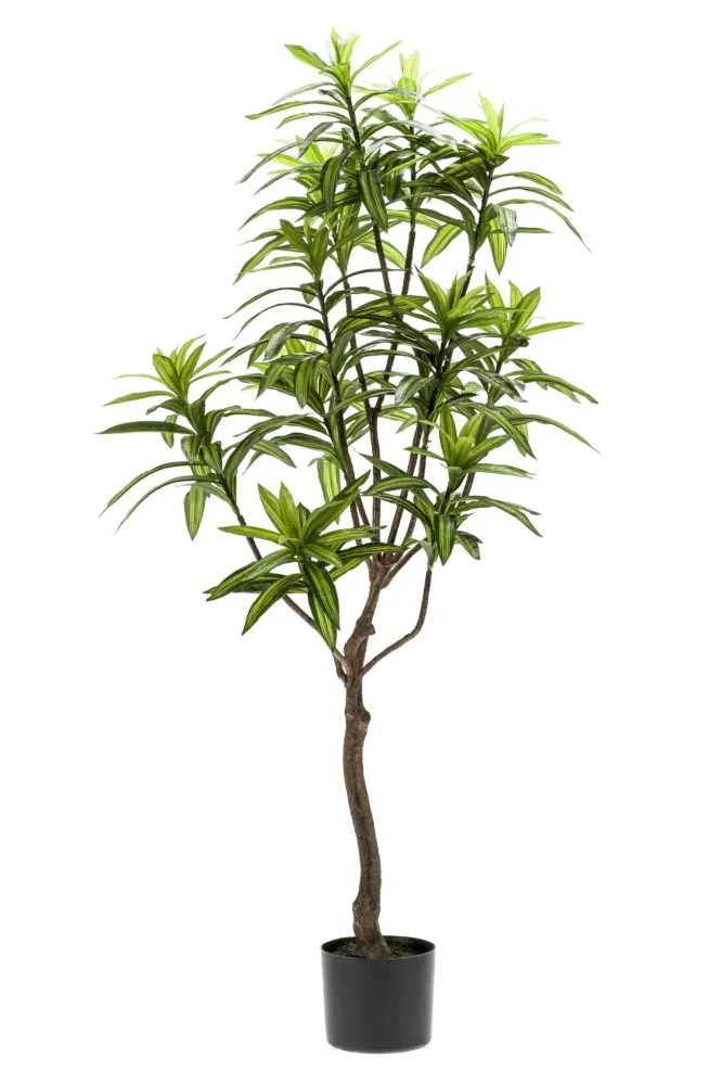 Pianta artificiale Dracaena - h130cm, Ø14cm
