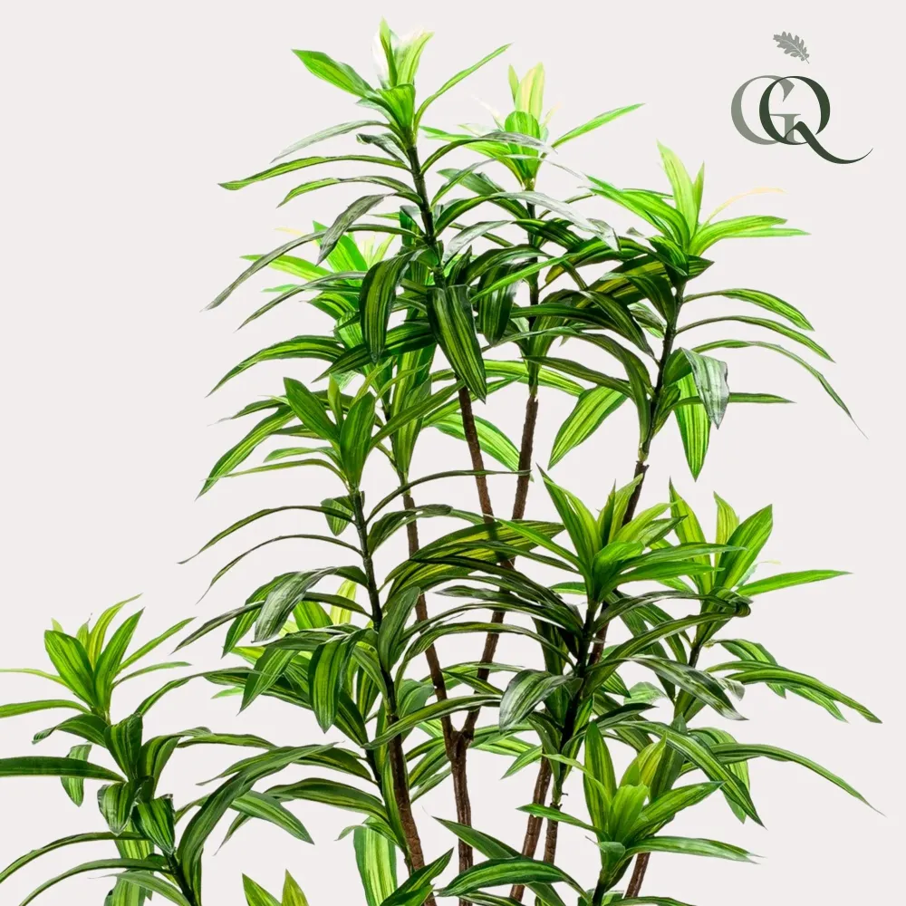 Pianta artificiale Dracaena - h130cm, Ø14cm
