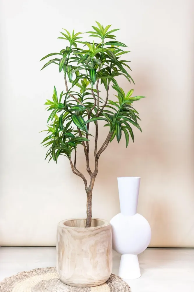 Pianta artificiale Dracaena - h130cm, Ø14cm