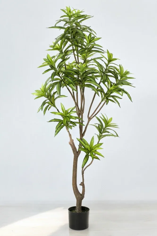 Pianta artificiale Dracaena - h160cm, Ø12cm