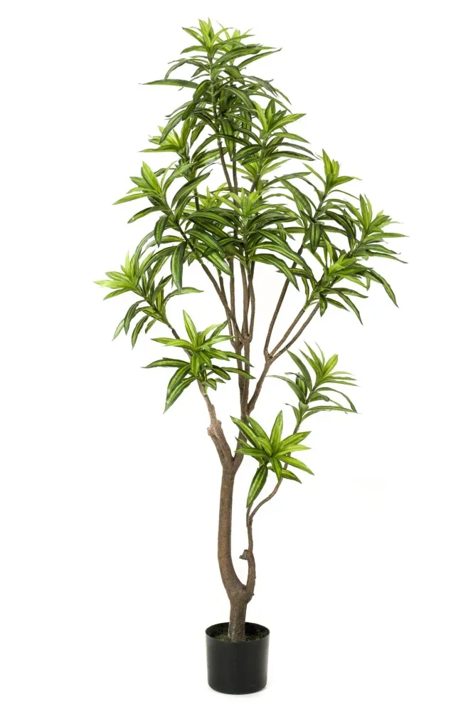 Pianta artificiale Dracaena - h160cm, Ø12cm