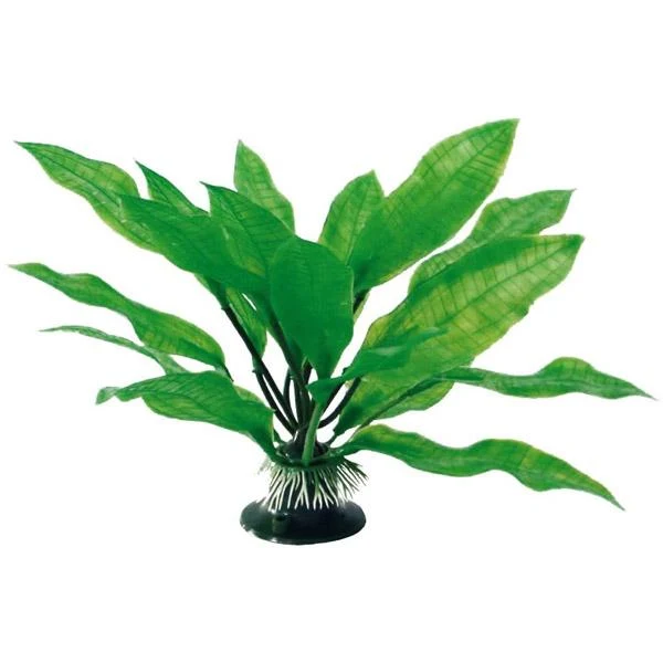 Pianta artificiale di echinodorus amtra