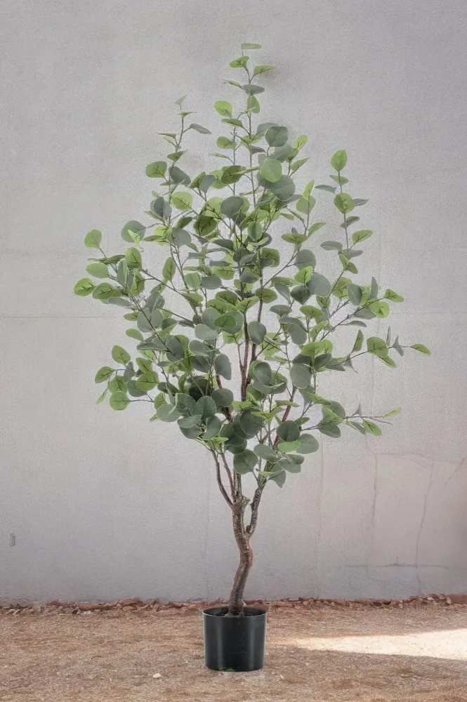 Pianta artificiale di eucalipto - h120cm, Ø9cm