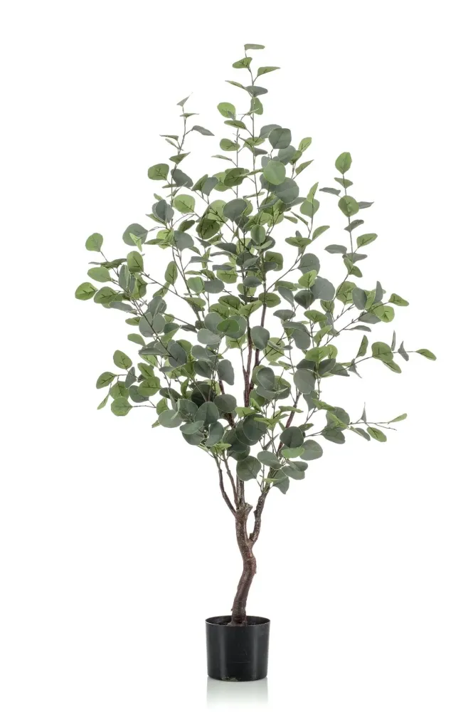 Pianta artificiale di eucalipto - h120cm, Ø9cm